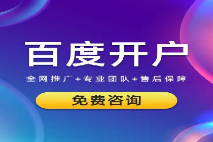 谷歌竞价广告在电商行业的运用案例
